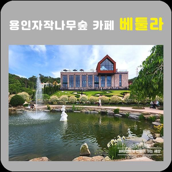 용인 카페 베툴라 용인자작나무숲 정원