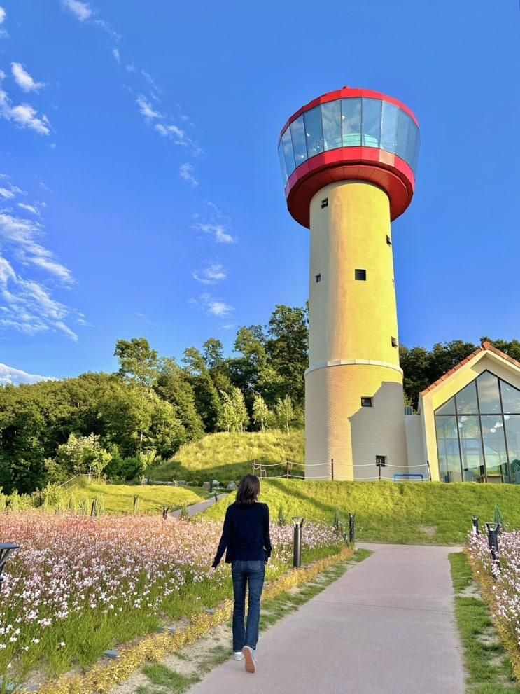 용인 베툴라 아이들과 가기좋은 애견동반 서울 근교 놀거리