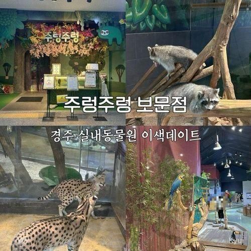 경주 주렁주렁 보문점 입장료 실내동물원 이색 데이트 코스