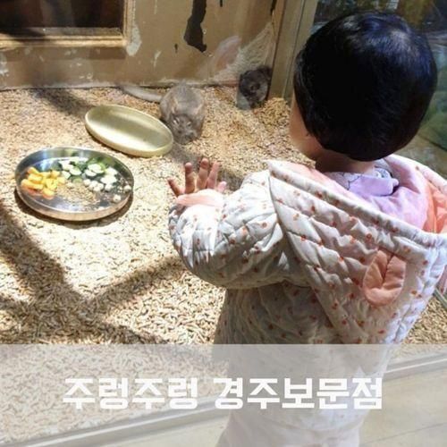 주렁주렁 경주 보문점 아이들과 실내에서 놀기 좋네요