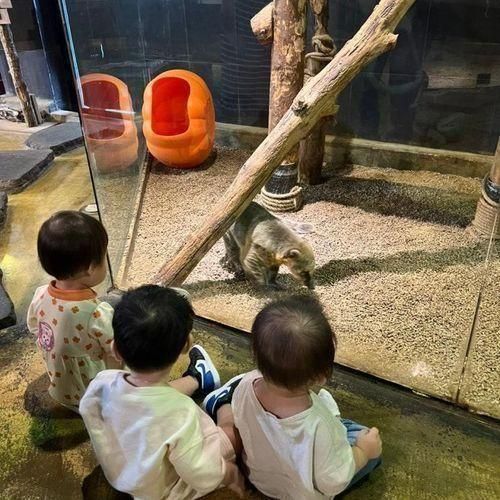 주렁주렁 테마파크 경주 보문점