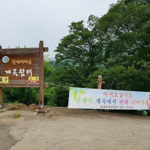 구례로!]구례 여름 피서지 시리즈 3. 구례 참새미골 계곡쉼터