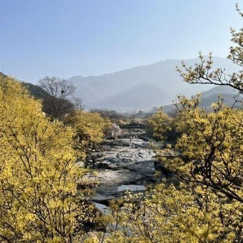 구례 참새미골체험식당... 산수유마을_천은사_참새미골체험식...