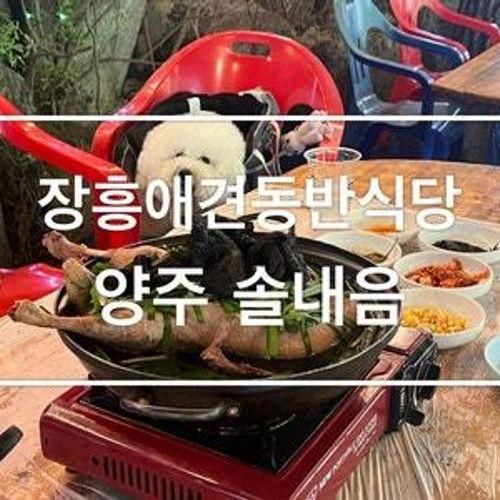 물놀이 가능한 시원했던 양주 계곡 맛집! 솔내음