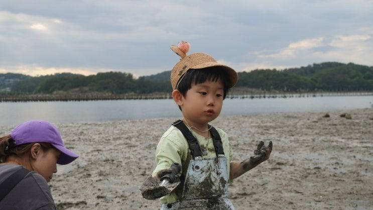 [사천] 경남풀빌라 갯벌체험 펜션 '비토섬신우리조트N풀빌라펜션'