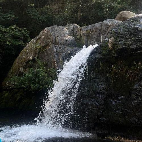 [경산] 명당폭포식당