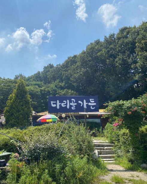 안성 다리골가든 푸르른 계곡 발담구는 닭백숙 맛집