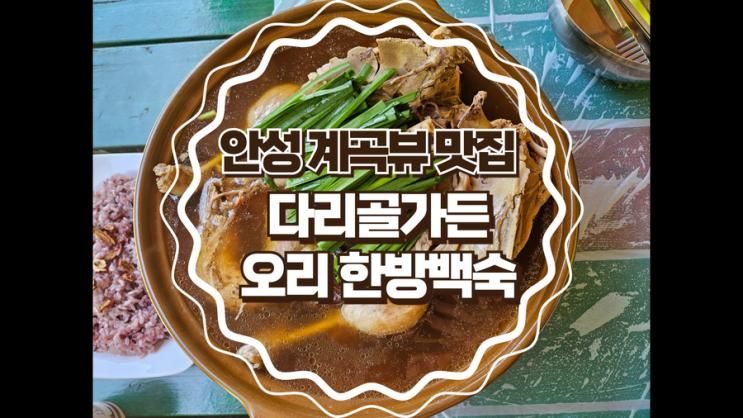 [안성] 계곡뷰 맛집 <다리골가든> 오리한방백숙