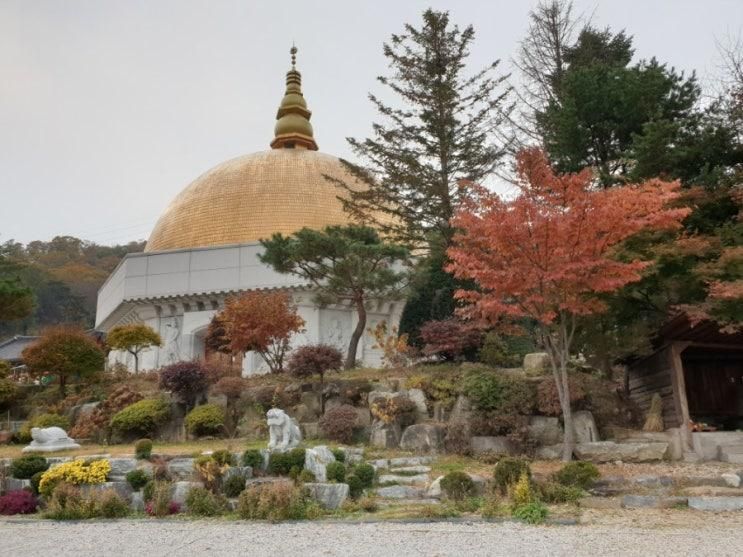 양주 지장사 황금300냥의 반야보탑