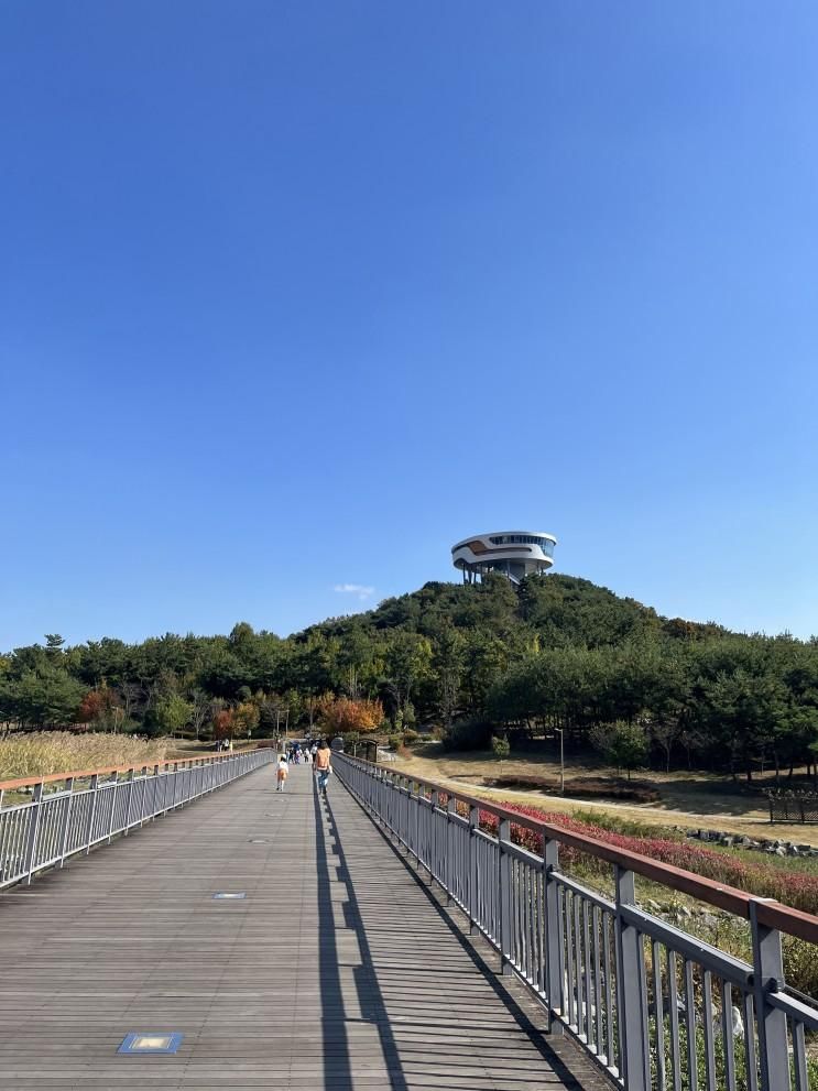 [나주아이랑 가볼만한 곳] 빛가람호수공원 배메산전망대...