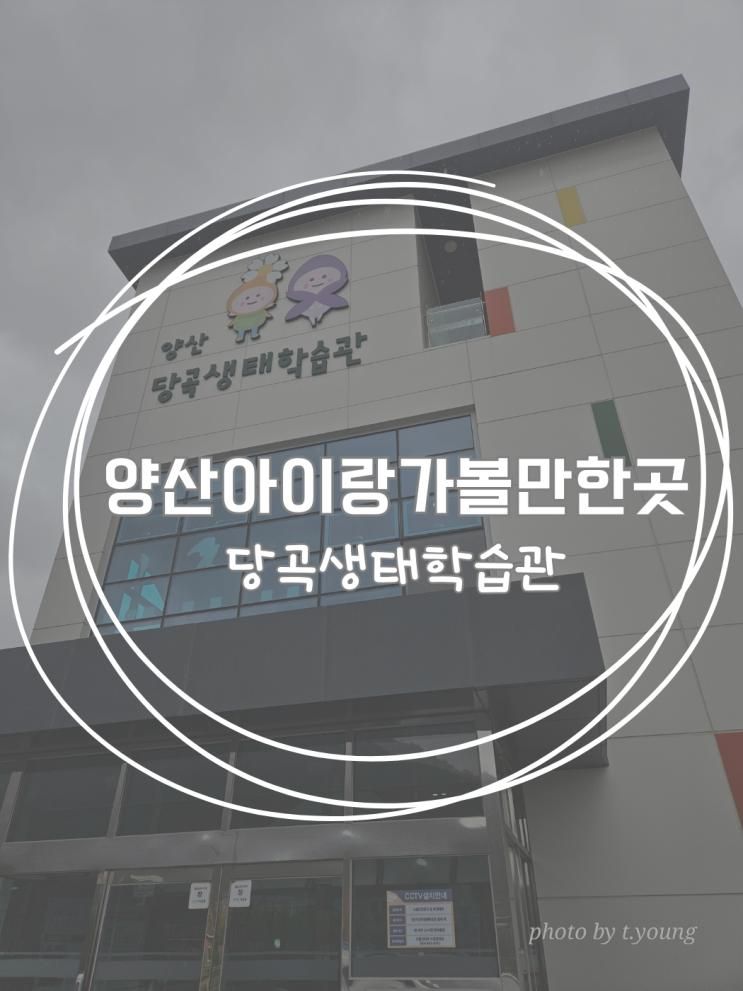 경남 양산 아이랑 가볼만한곳 당곡생태학습관 체험가능