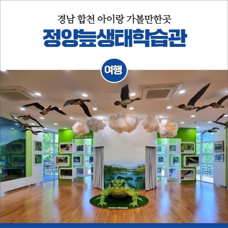 경남 합천 아이랑 가볼만한곳 정양늪생태학습관