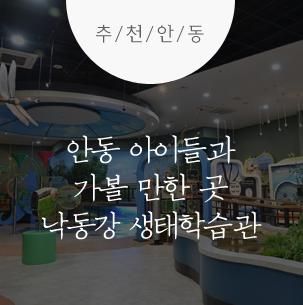 안동 아이들과 가볼 만한 곳 낙동강 생태학습관 :: 안동여행...