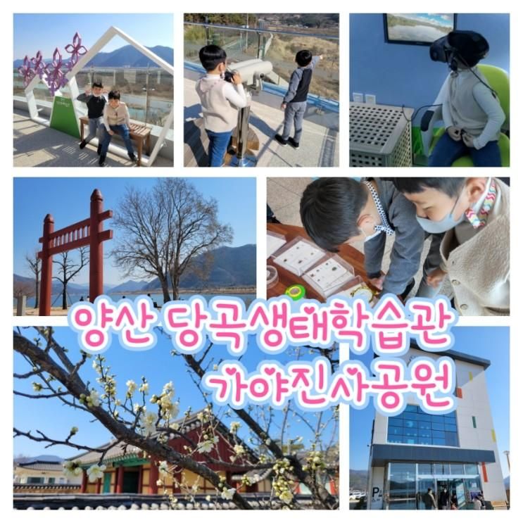 양산 당곡생태학습관 가야진사공원 / 아이와 함께 양산 원동...