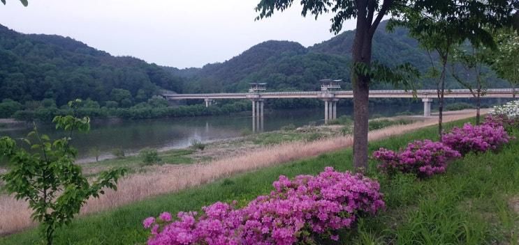 (예천) 삼강 문화 단지 생태공원 산책