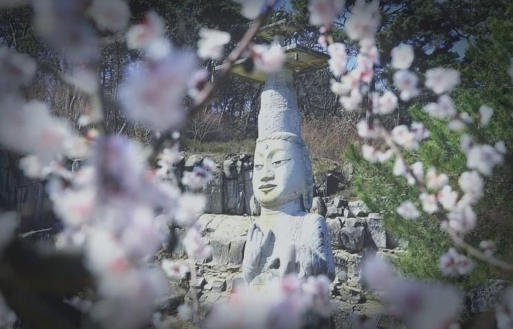 논산천 백제군사박물관 옥녀봉 논산 가볼만한곳 코스