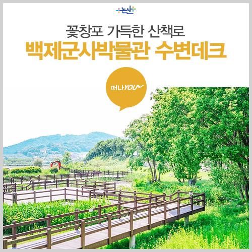 [논산여행 떠나You] 꽃창포 가득한 백제군사박물관 수변 데크...