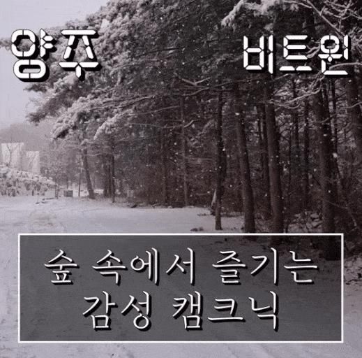 양주 캠핑 비트윈 :) 캠핑식당... 즐기는 감성캠크닉 (경기 양주시)