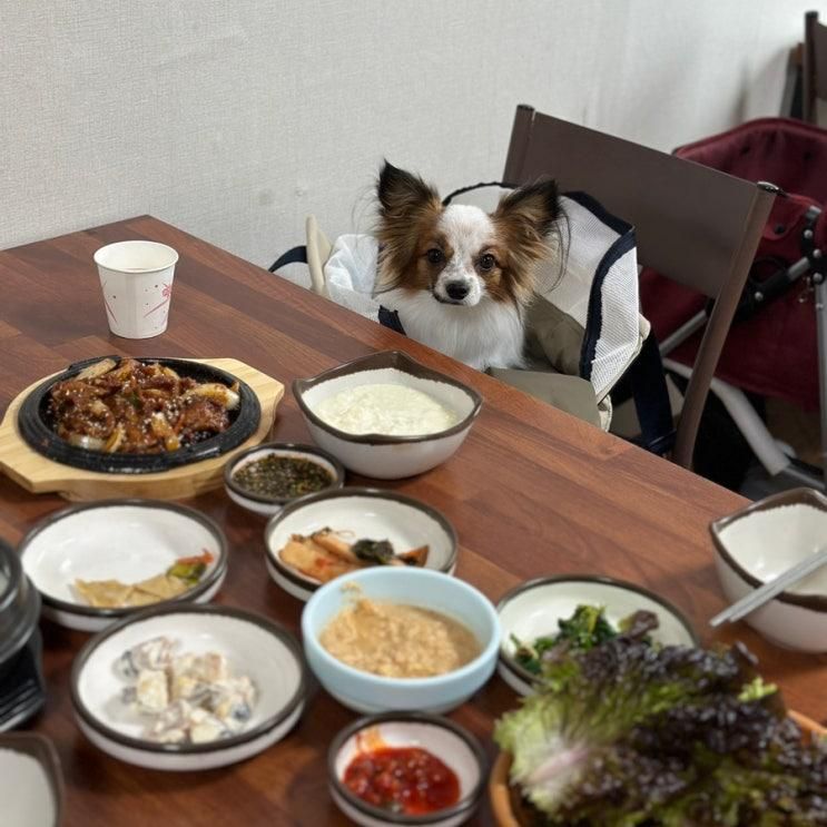 포천 애견동반식당 복지순두부 대만족