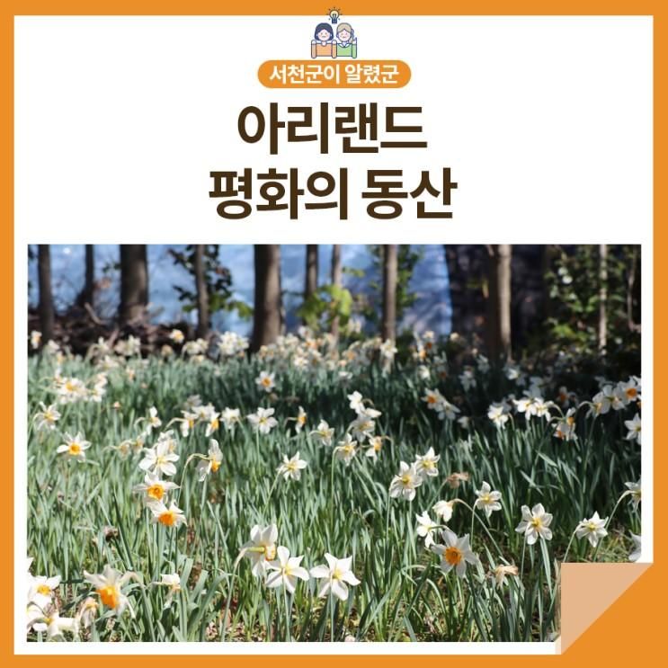 [서천군SNS서포터즈] 아리랜드 평화의 동산