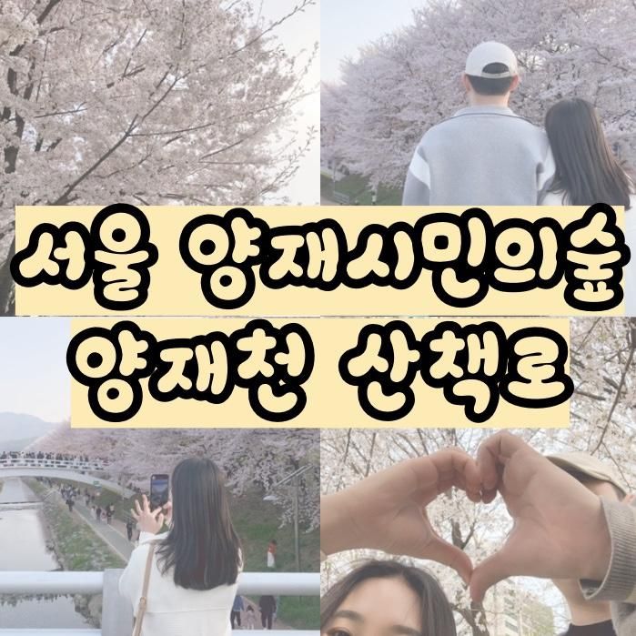 양재천벚꽃축제 매헌시민의숲... 행사공연 아이랑가볼만한곳...