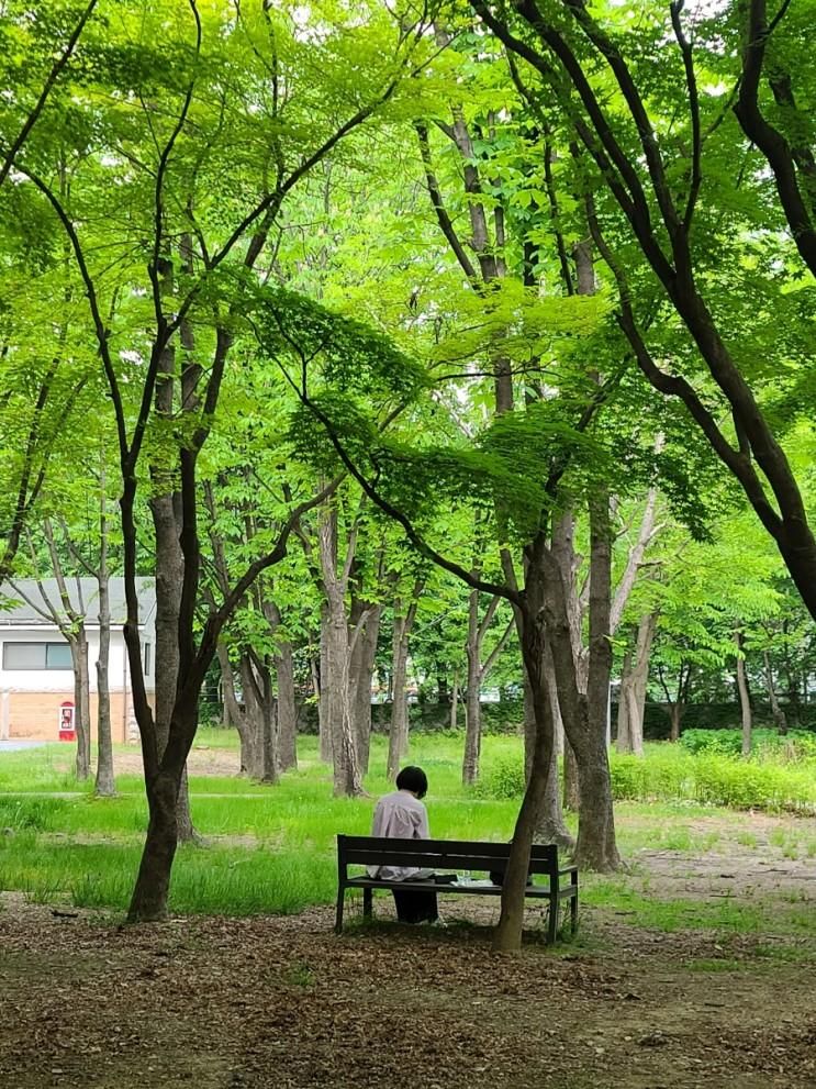 서울공원 산책 양재시민의숲 데이트 w 매헌시민의숲 주차요금