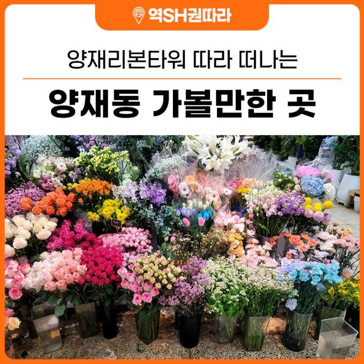 가볼만한 곳! 양재꽃시장, 매헌시민의숲, 서초구립양재도서관