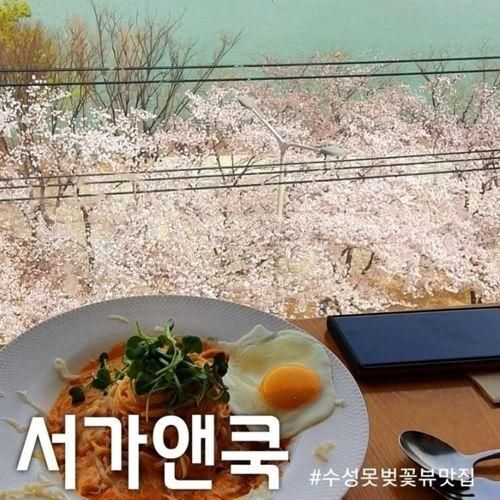 [대구맛집] 수성못 벚꽃뷰 맛집 "서가앤쿡 수성못점"