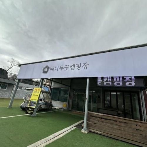 서울 근교 키즈캠핑장 추천 및 배나무꽃캠핑장 내돈내산 후기