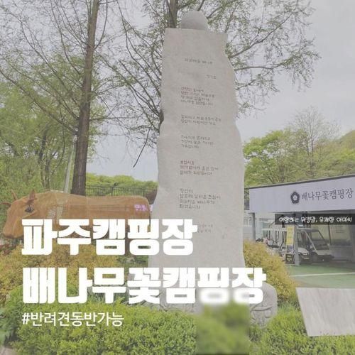 당일치기 반려견 동반 캠핑 :: 경기도 파주캠핑장 배나무꽃캠핑장