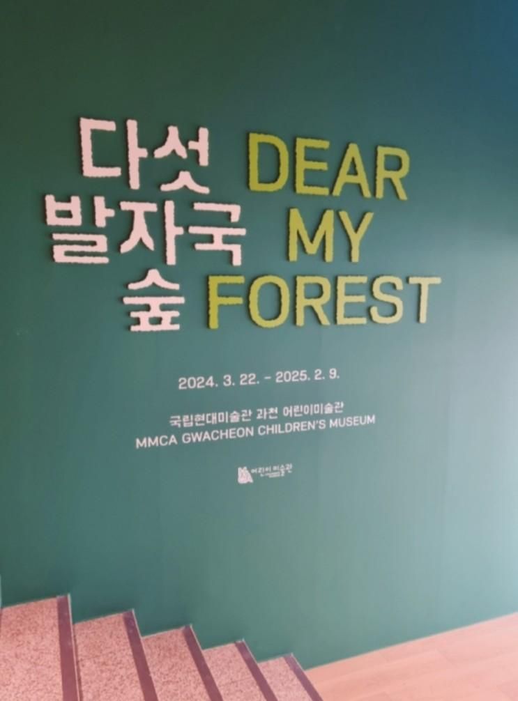 무료전시회 추천 국립현대미술관 어린이미술관 다섯발자국 숲