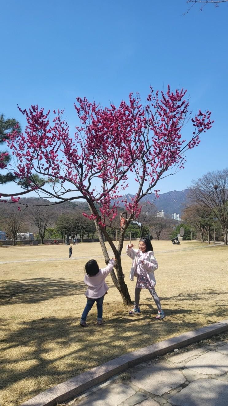 두두♡나나 국립현대미술관 과천 -다섯발자국숲 관람,봄나들이