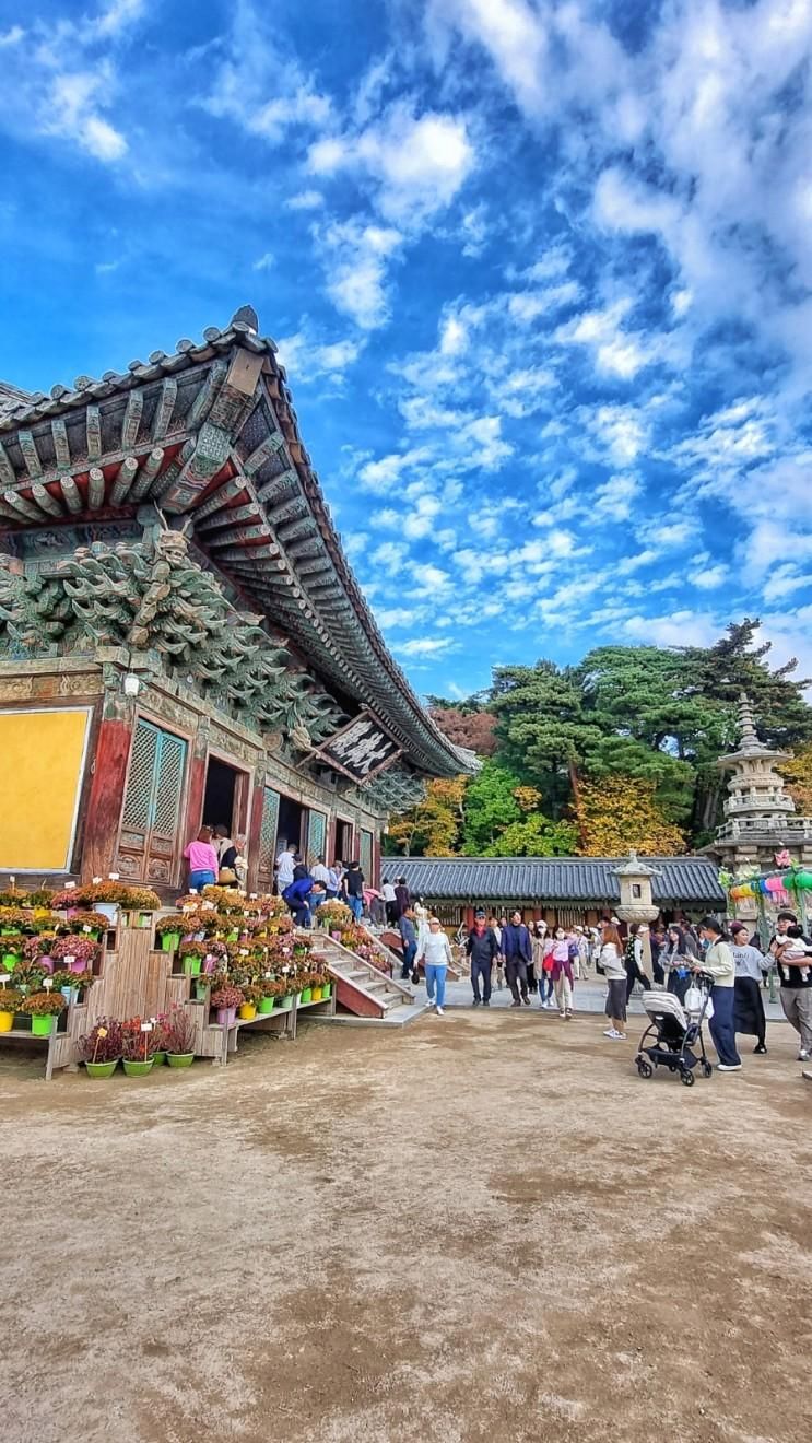 경주 가족여행 아이랑 가볼 만한 곳 불국사 단풍 명소 입장료...