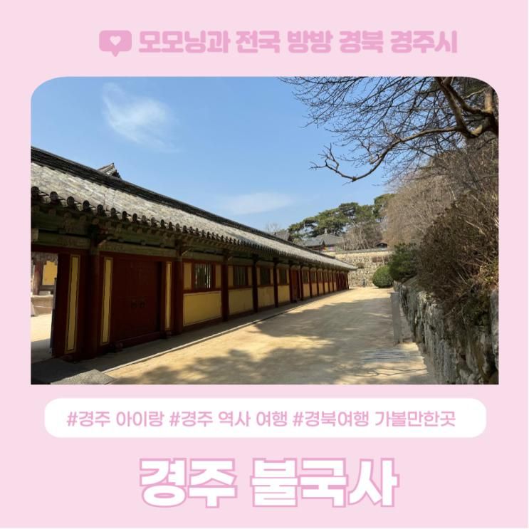 아이랑 불국사 역사 여행 1박2일 경주 겹벚꽃 명소