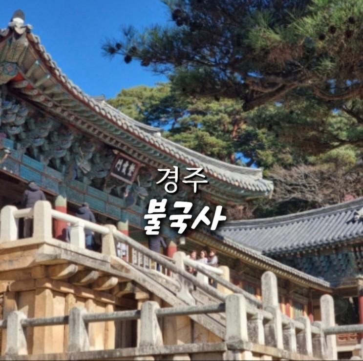 경주 아이랑 가볼만한곳 불국사 단풍구경 다녀왔어요