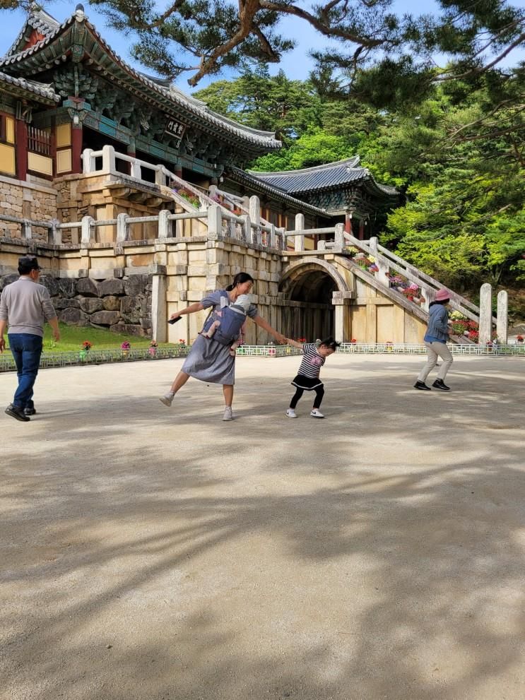 경주여행 2박3일 일정 아이랑 가볼만한 곳 불국사 입장료 무료