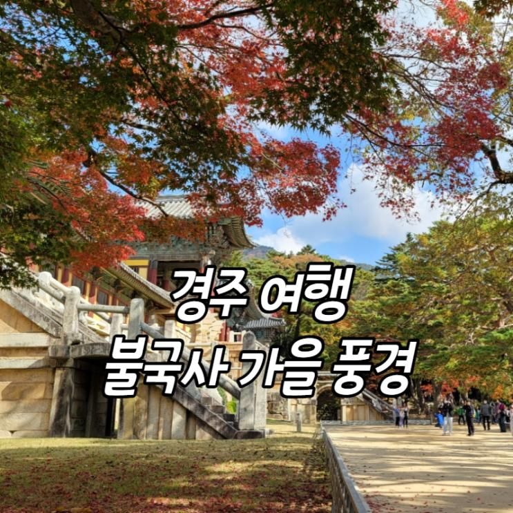 경주 여행 아이랑 갈만한 곳 불국사 (불이문 주차장) 단풍 구경