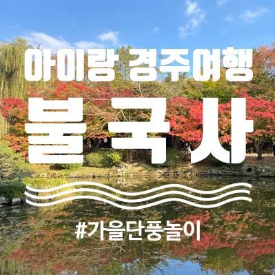 경주여행 / 아이랑 가볼만한 곳 / 경주 불국사 / 불국사 단풍...