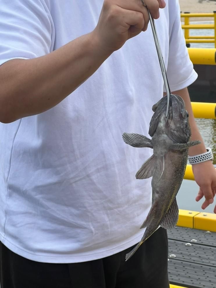 속초 장사항바다낚시 체험공원 체험후기 및 꿀팁!!!!