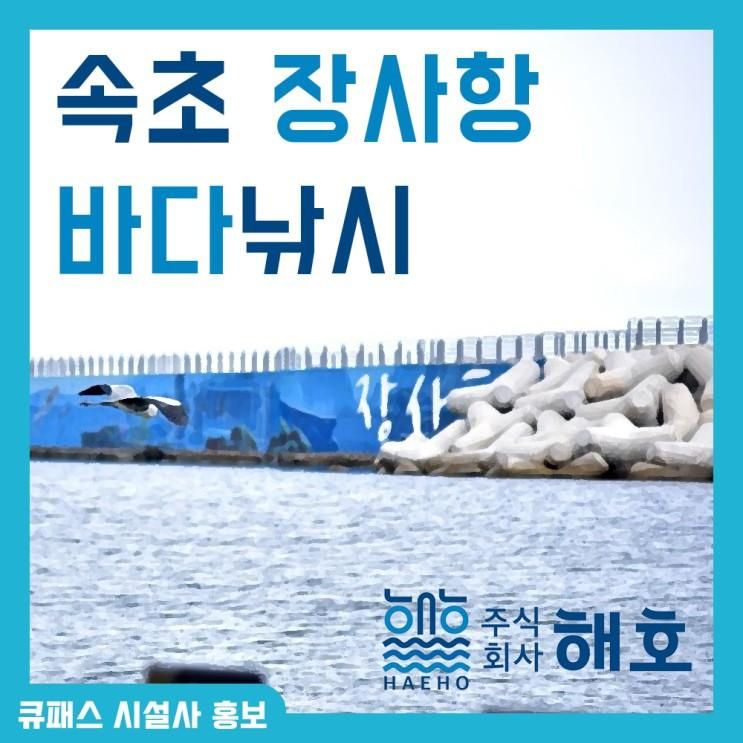 속초방파제낚시 장사항 바다낚시 체험공원 해호