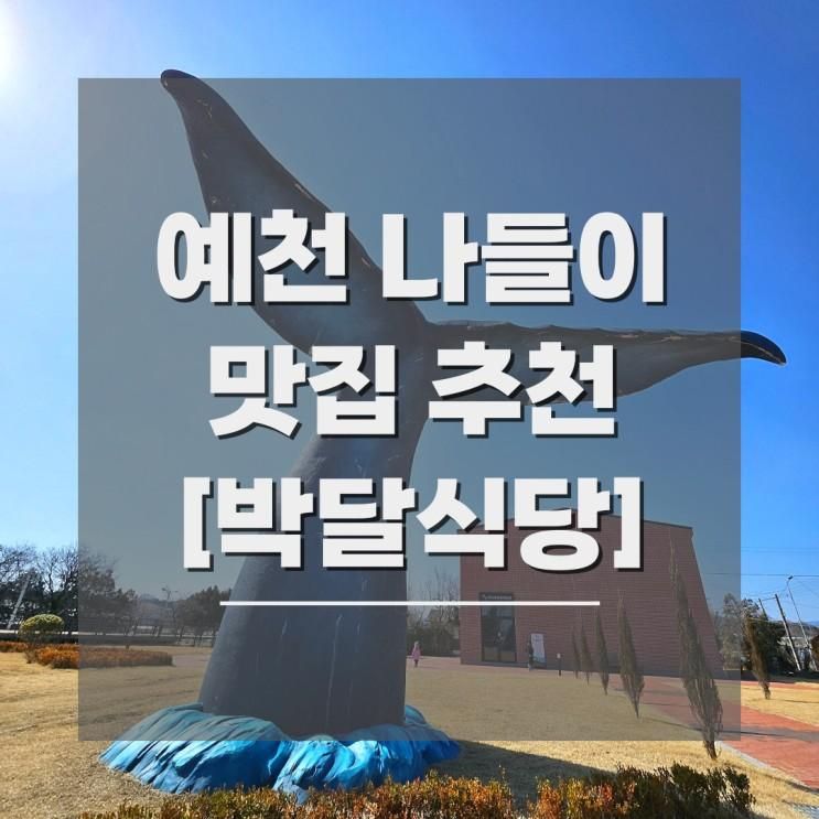 예천 아이와 가볼 만한 곳 박달식당 용궁역테마공원 나들이