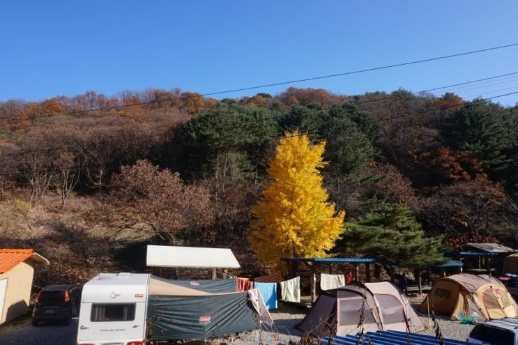 또 가고 싶은 돈내미 농장 캠핑장 ♡