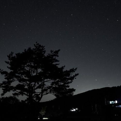 가을 합천여행: 대장경테마파... 황매산미리내파크오토캠핑장...