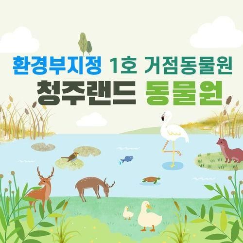 청주랜드 동물원/청주여행지/청주 아가랑/1호 거점 동물원 지정