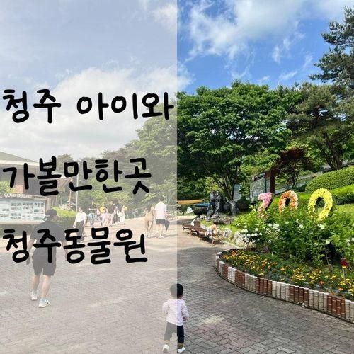 청주 아이와 가볼만한곳 청주동물원 청주랜드 동물원