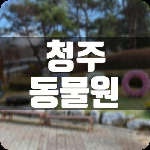 청주동물원, 청주가볼만한곳 [청주랜드 동물원]