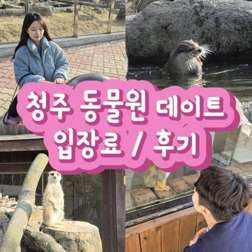 청주랜드 동물원 데이트, 입장료 동물, 다녀온 후기 포스팅