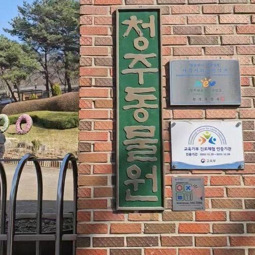 청주동물원 청주랜드 놀이기구 주말에 아이와 가볼만한곳