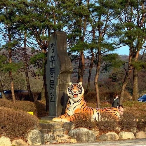 청주동물원, 청주랜드 놀이공원, 대전근교 아이랑 가볼만한 곳