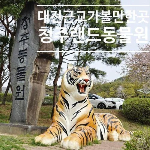 대전 근교가볼만한곳 청주랜드동물원